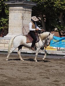 LA CAMARGUE A DIGNE, 0008