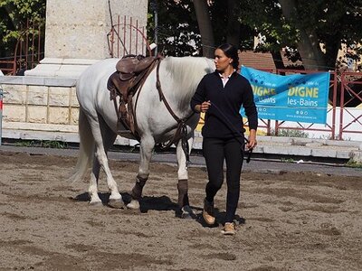 LA CAMARGUE A DIGNE, 0009