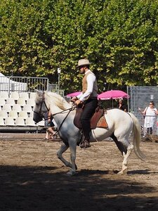 LA CAMARGUE A DIGNE, 0012