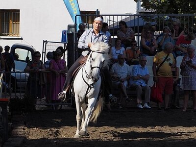LA CAMARGUE A DIGNE, 0013