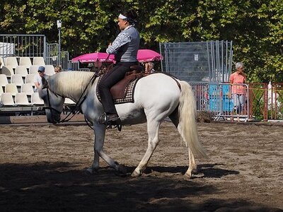 LA CAMARGUE A DIGNE, 0015