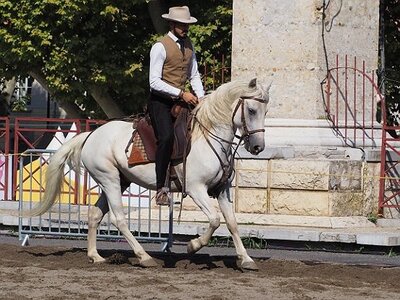LA CAMARGUE A DIGNE, 0016