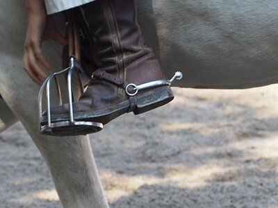 LA CAMARGUE A DIGNE, 0022