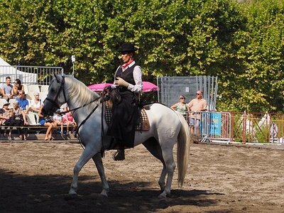 LA CAMARGUE A DIGNE, 0027