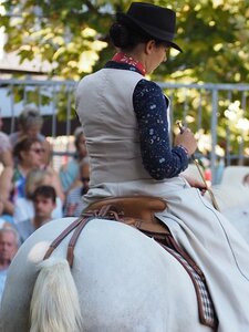 LA CAMARGUE A DIGNE, 0030