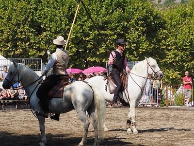 LA CAMARGUE A DIGNE, 0038