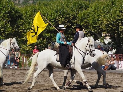 LA CAMARGUE A DIGNE, 0039