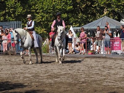 LA CAMARGUE A DIGNE, 0047