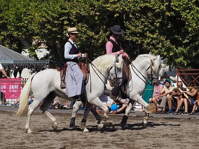 LA CAMARGUE A DIGNE, 0052
