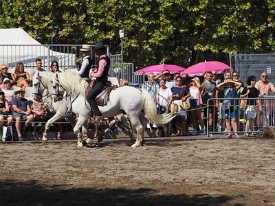 LA CAMARGUE A DIGNE, 0053