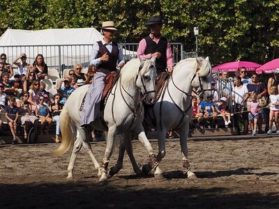 LA CAMARGUE A DIGNE, 0054