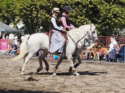 LA CAMARGUE A DIGNE, 0055