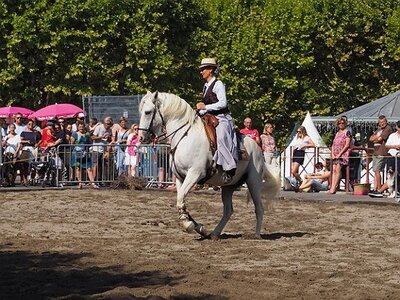 LA CAMARGUE A DIGNE, 0056