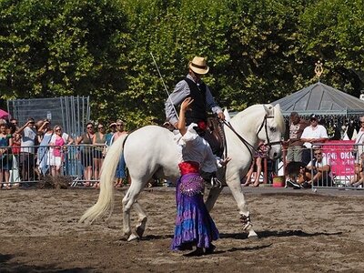 LA CAMARGUE A DIGNE, 0066