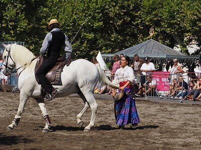 LA CAMARGUE A DIGNE, 0067