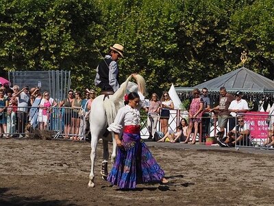 LA CAMARGUE A DIGNE, 0068