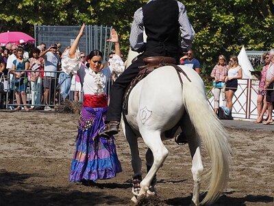 LA CAMARGUE A DIGNE, 0074