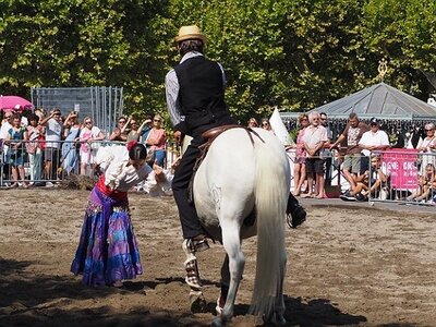 LA CAMARGUE A DIGNE, 0075