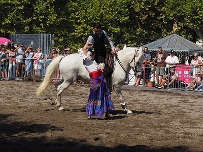 LA CAMARGUE A DIGNE, 0078