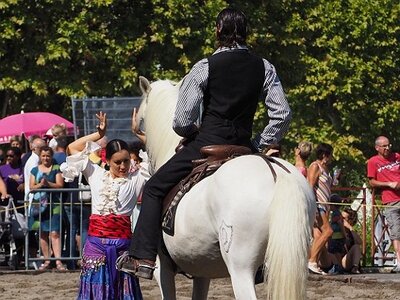 LA CAMARGUE A DIGNE, 0083