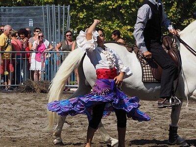 LA CAMARGUE A DIGNE, 0084
