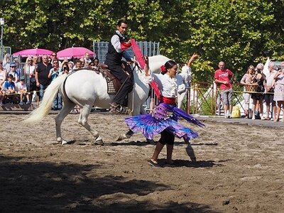 LA CAMARGUE A DIGNE, 0085