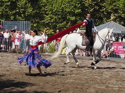 LA CAMARGUE A DIGNE, 0086