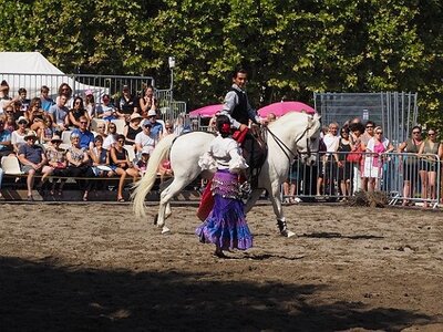 LA CAMARGUE A DIGNE, 0087