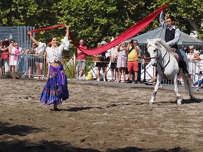 LA CAMARGUE A DIGNE, 0088