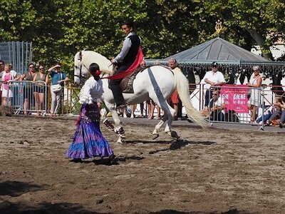 LA CAMARGUE A DIGNE, 0089