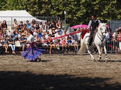 LA CAMARGUE A DIGNE, 0092