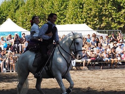 LA CAMARGUE A DIGNE, 0095