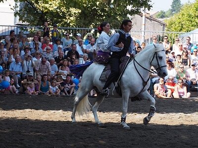 LA CAMARGUE A DIGNE, 0096