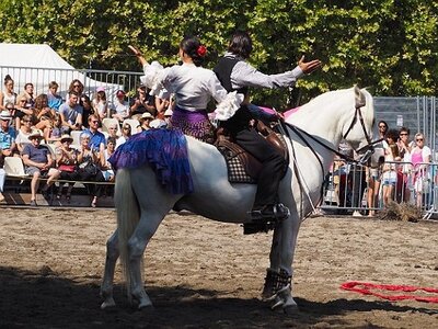 LA CAMARGUE A DIGNE, 0097