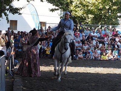 LA CAMARGUE A DIGNE, 0099