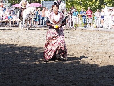 LA CAMARGUE A DIGNE, 0100