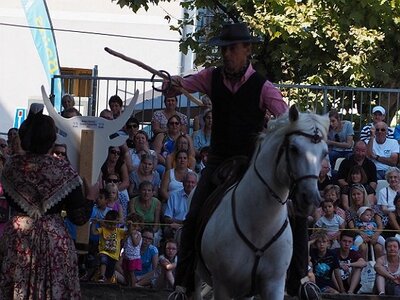 LA CAMARGUE A DIGNE, 0101