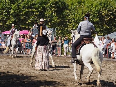 LA CAMARGUE A DIGNE, 0104