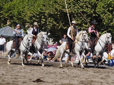 LA CAMARGUE A DIGNE, 0105