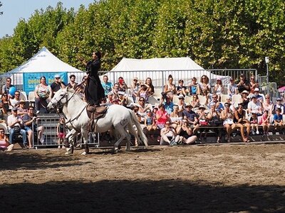 LA CAMARGUE A DIGNE, 0107