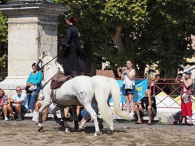 LA CAMARGUE A DIGNE, 0109