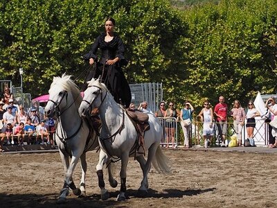 LA CAMARGUE A DIGNE, 0111