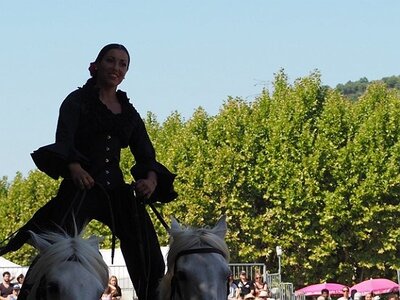 LA CAMARGUE A DIGNE, 0112