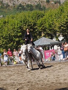 LA CAMARGUE A DIGNE, 0114
