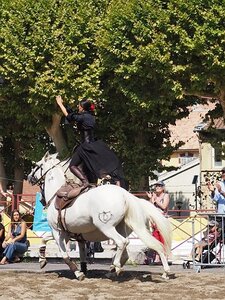 LA CAMARGUE A DIGNE, 0116