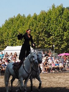 LA CAMARGUE A DIGNE, 0118