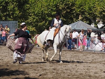 LA CAMARGUE A DIGNE, 0121