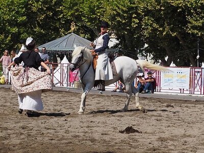 LA CAMARGUE A DIGNE, 0124