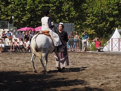 LA CAMARGUE A DIGNE, 0125