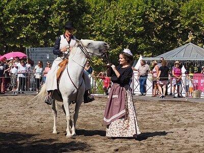 LA CAMARGUE A DIGNE, 0127